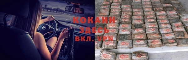 прущие грибы Абинск
