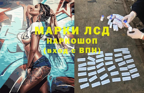 прущие грибы Абинск