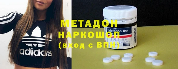 прущие грибы Абинск