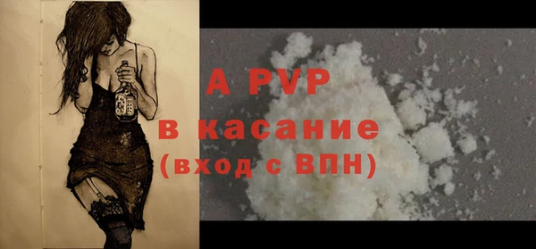 прущие грибы Абинск
